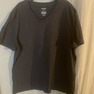 Gently Used Arizona V-neck T-Shirt